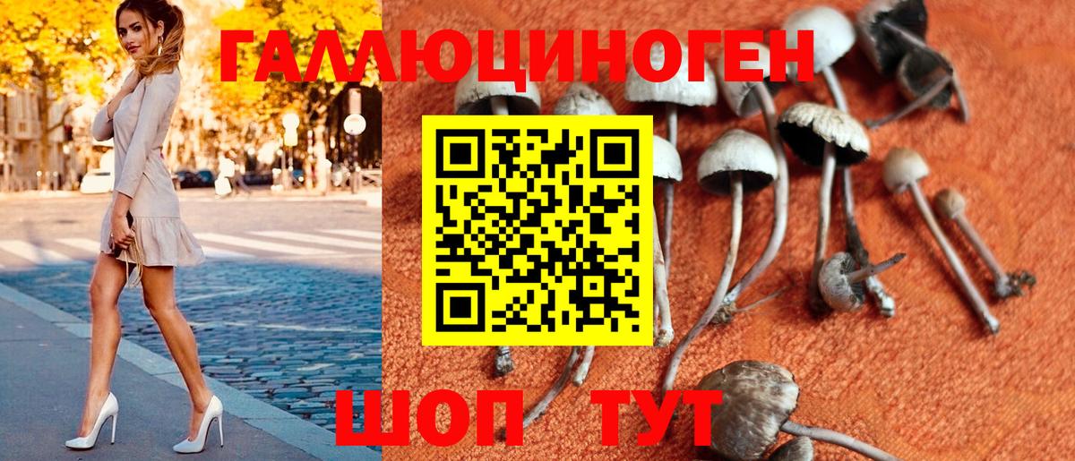 Галлюциногенные грибы Psilocybine cubensis  Вход с VPN  Муравленко  Псилоцибиновые грибы Cubensis 
