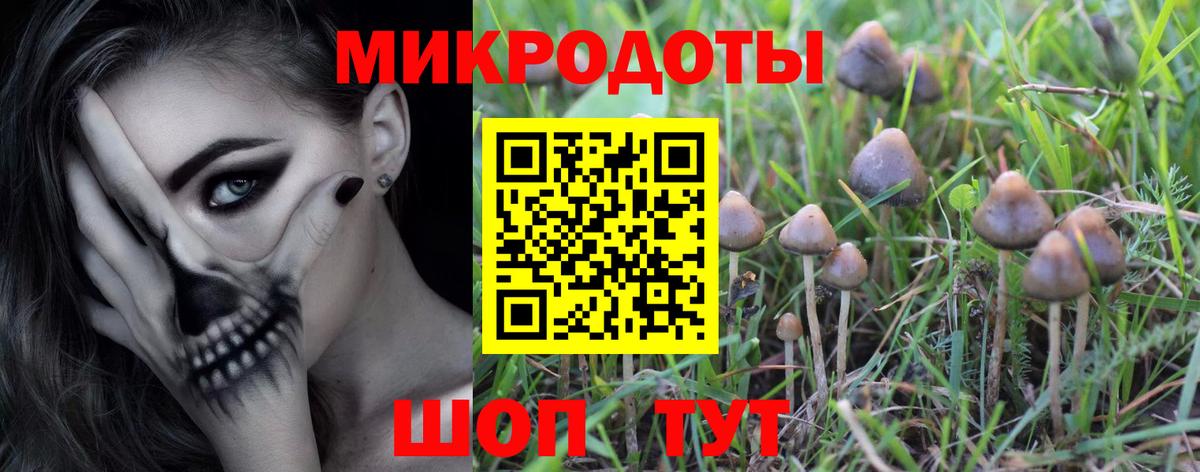 Галлюциногенные грибы Magic Shrooms Муравленко